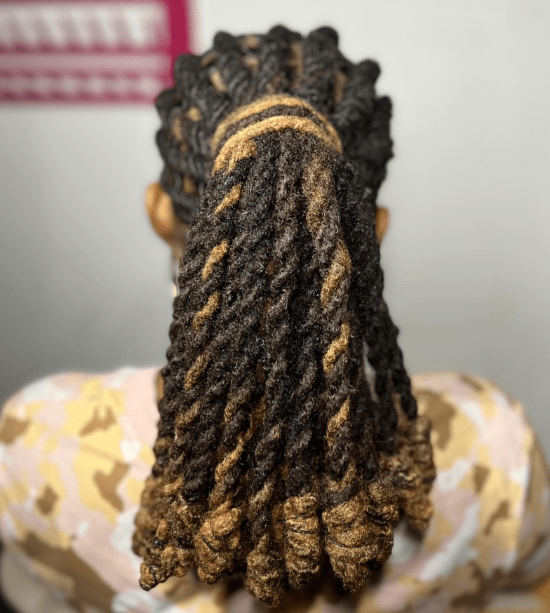 Majestic Ombre Loc Cascade