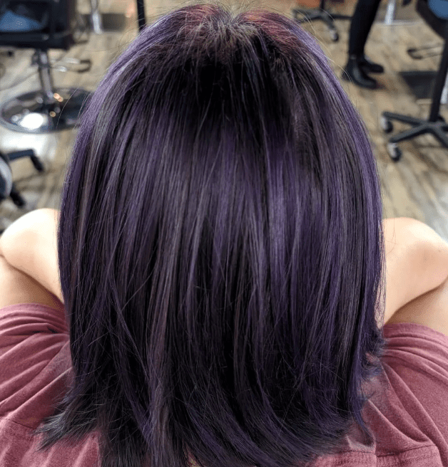 Midnight Purple Below-the-Shoulder Straight Cut