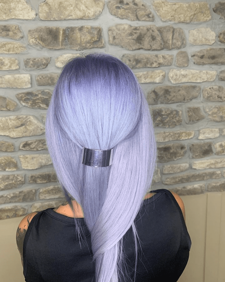 Silver Purple Elegance Ponytail
