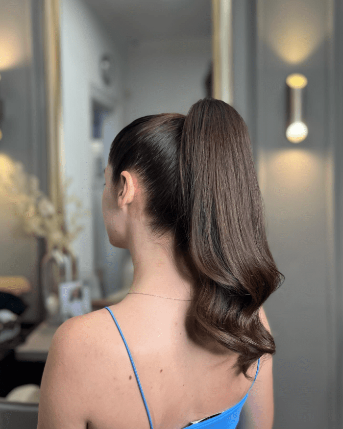 Sleek Ponytail Perfection