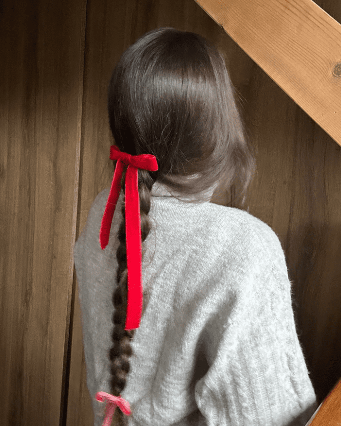 Traditional Braid with Red Twist