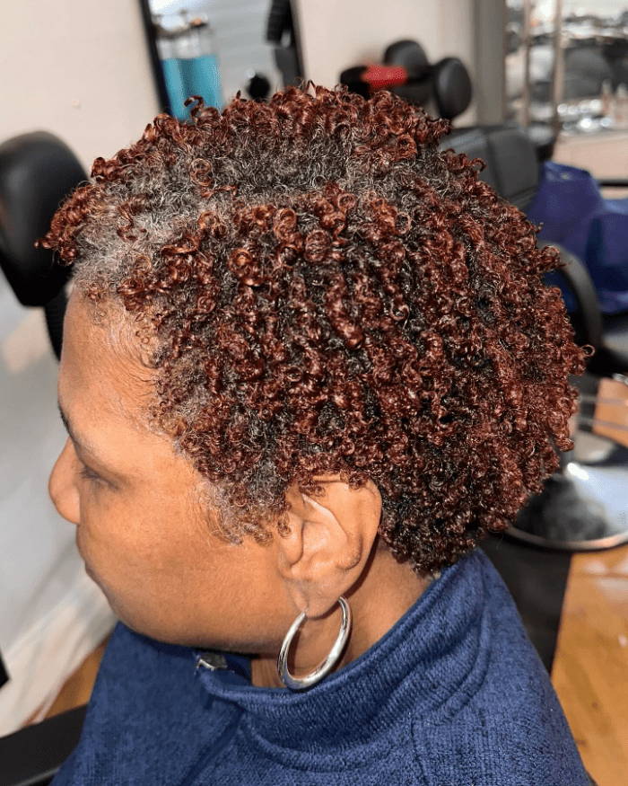 Bouncy Short Natural Hair with Reddish-Brown Highlights