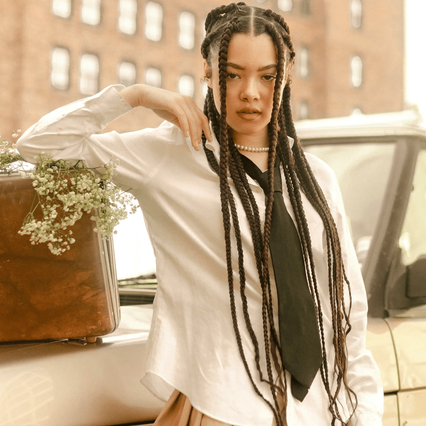 Timeless Heritage Braids