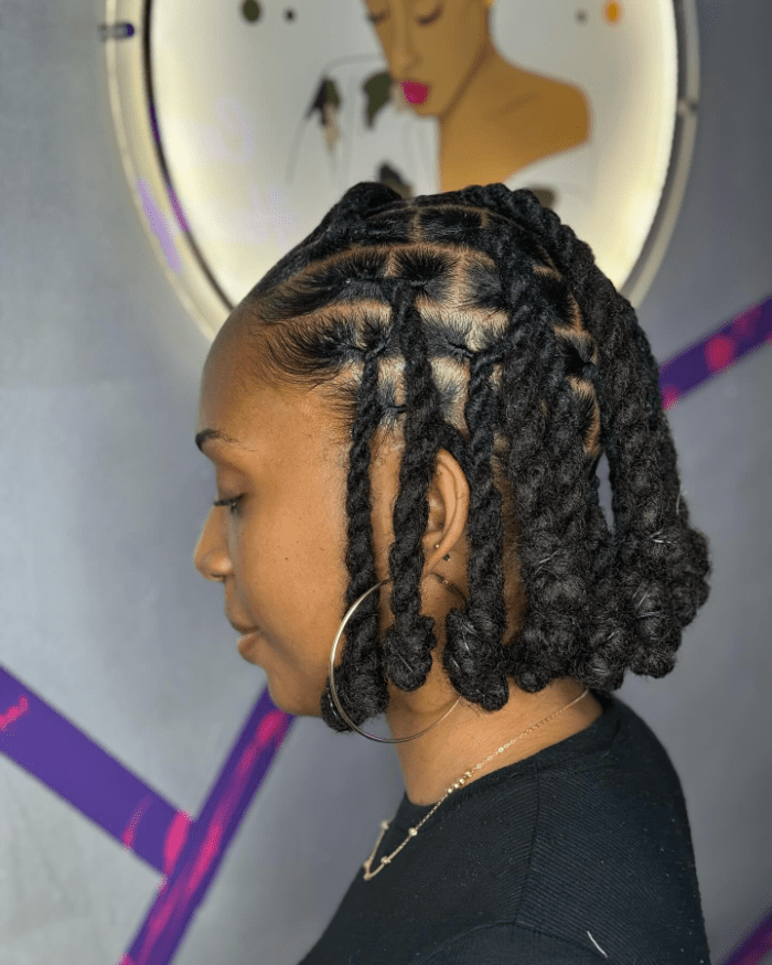 Twist and Cornrow Elegance