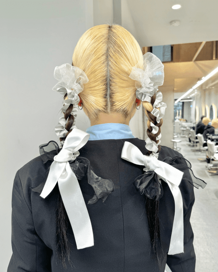 Braided Elegance with Whimsical Ribbons